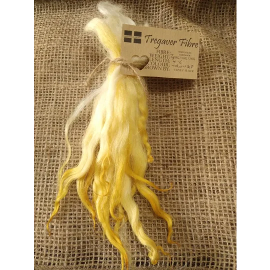 Yellow dip wavy white faced dartmoor wool locks, 7g