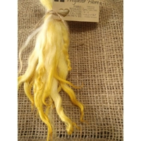 Yellow dip wavy white faced dartmoor wool locks, 7g