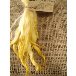Yellow dip wavy white faced dartmoor wool locks, 7g