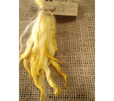 Yellow dip wavy white faced dartmoor wool locks, 7g