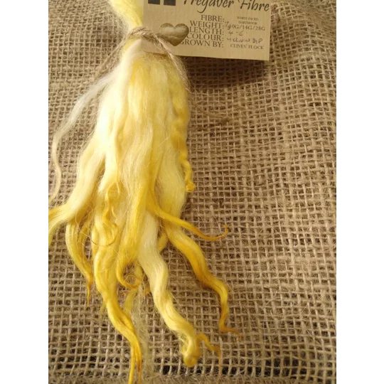 Yellow dip wavy white faced dartmoor wool locks, 7g
