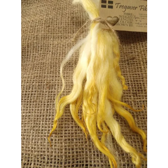Yellow dip wavy white faced dartmoor wool locks, 7g