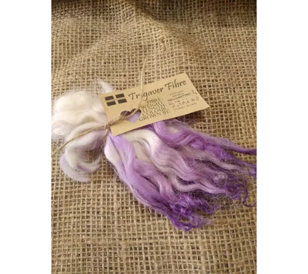 Purple dip wavy white faced dartmoor wool locks, 7g