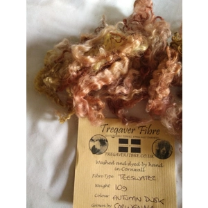 Autumn Dusk Teeswater Curly wool, 10g (v)