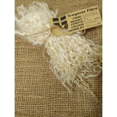 natural undyed wensleydale x teeswater lamb locks (v)