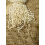 natural undyed wensleydale x teeswater lamb locks (v) natural undyed wensleydale x teeswater lamb locks (v)