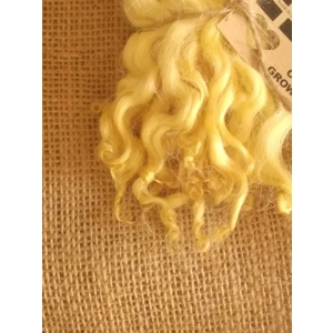 Yellow wavy white faced dartmoor wool  lamb locks