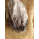 Charcoal and Silver, Grey Faced Dartmoor, rare breed sheep (v)