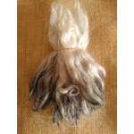 Charcoal and Silver, Grey Faced Dartmoor, rare breed sheep (v)