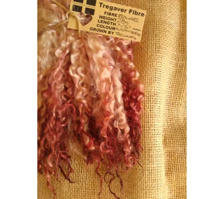 Autumn Heather wool locks, 28g 14g 7g (v)