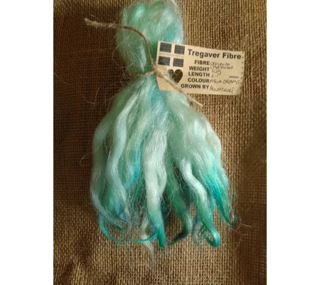 Aqua Dream, blue/green tones , Grey Faced Dartmoor, rare breed sheep
