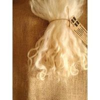 Natural Undyed  Grey Faced Dartmoor, rare breed sheep (v)