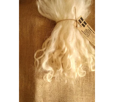 Natural Undyed Grey Faced Dartmoor, rare breed sheep (v)
