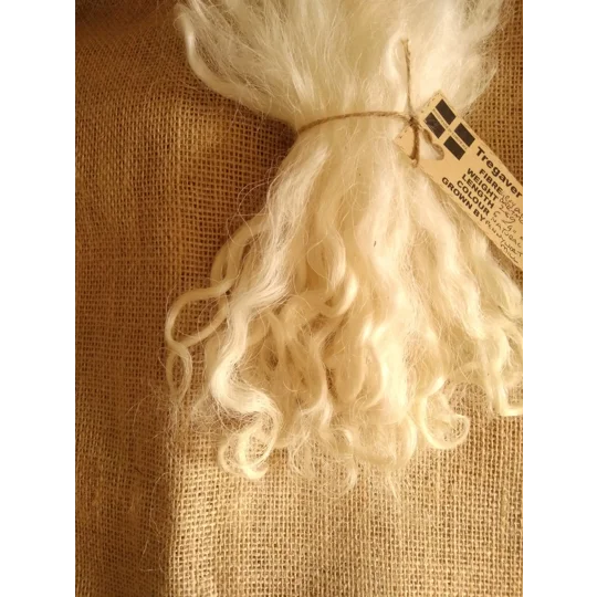 Natural Undyed Grey Faced Dartmoor, rare breed sheep (v)