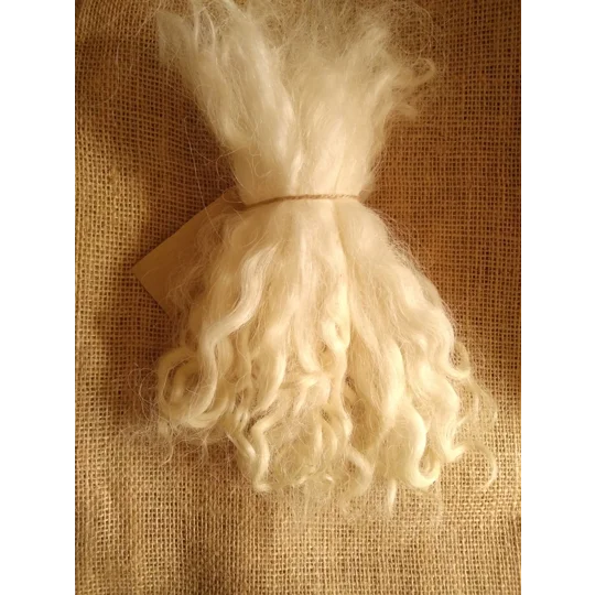 Natural Undyed Grey Faced Dartmoor, rare breed sheep (v)