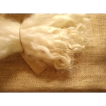 Natural Undyed  Grey Faced Dartmoor, rare breed sheep (v)