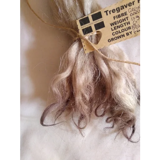 Light brown and plum, Grey Faced Dartmoor, rare breed sheep