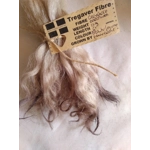 Light brown and plum, Grey Faced Dartmoor, rare breed sheep