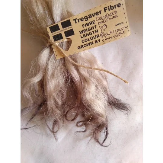 Light brown and plum, Grey Faced Dartmoor, rare breed sheep