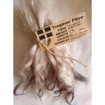 Light brown and plum, Grey Faced Dartmoor, rare breed sheep