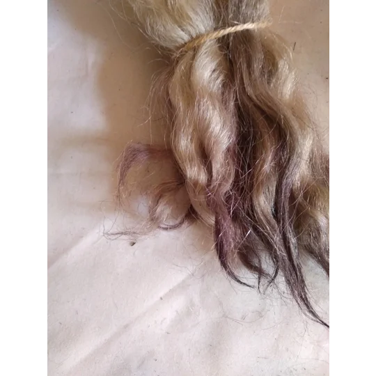 Light brown and plum, Grey Faced Dartmoor, rare breed sheep