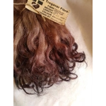 Brown mix,  Grey  Faced Dartmoor, rare breed sheep (v)