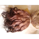 Brown mix,  Grey  Faced Dartmoor, rare breed sheep (v)