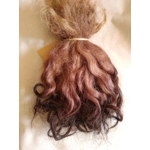 Brown mix,  Grey  Faced Dartmoor, rare breed sheep (v)