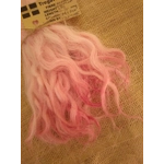 Baby pink mix  mix,  Grey  Faced Dartmoor, rare breed sheep (v)