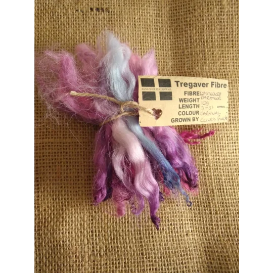 Carnival mix, pink/purple/blue white faced dartmoor wool lamb locks