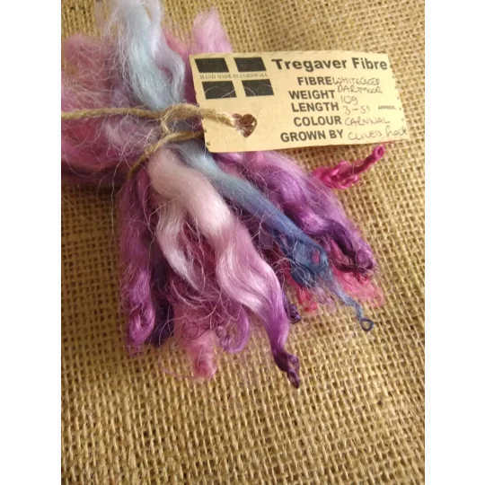 Carnival mix, pink/purple/blue white faced dartmoor wool lamb locks