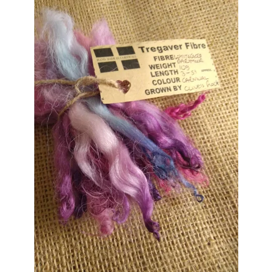 Carnival mix, pink/purple/blue white faced dartmoor wool lamb locks