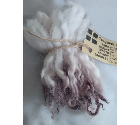 Dusky mix (purple/brown) white faced dartmoor wool lamb locks