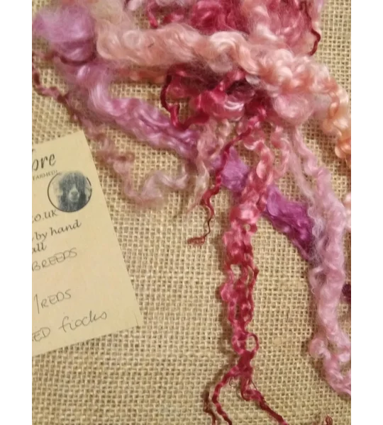 Mixed breeds curly wool, 10g pinks and reds