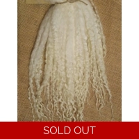 Natural undyed Masham Curly wool Locks, approx 13