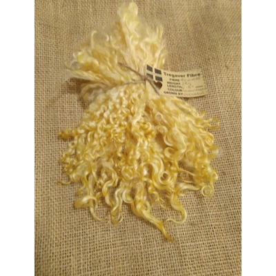 Golden yellow teeswater curly  wool locks, 28g 14g 7g (v)