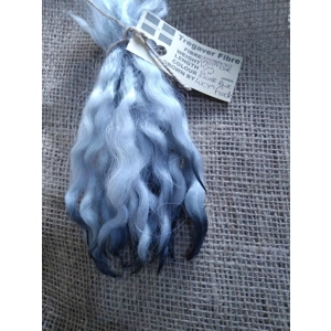 Wavy mini wool locks, hand washed hand dyed in silvery blue, 6 approx length