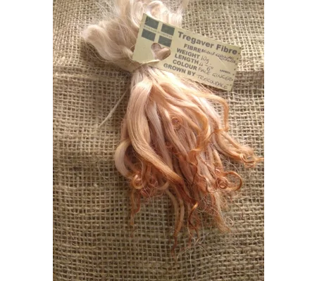 Pale Ginger wavy wool locks, Devon and Cornwall Longwool