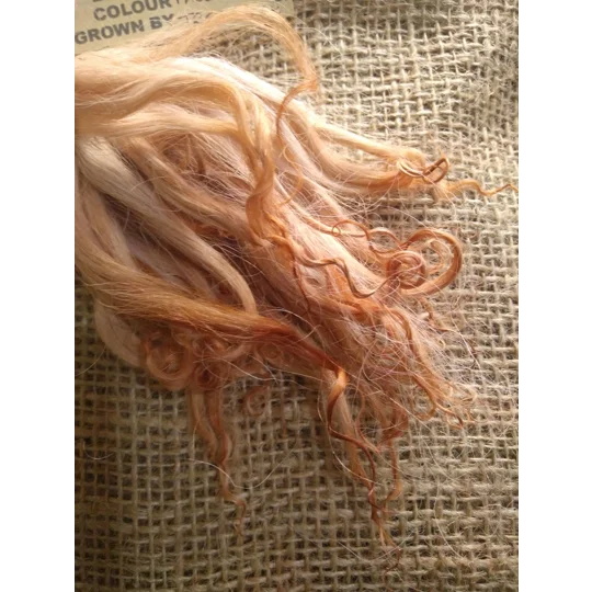 Pale Ginger wavy wool locks, Devon and Cornwall Longwool