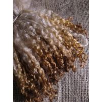 Toasted Caramel  teeswater curly wool locks, 28g 14g 7g (v)
