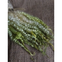 Blonde with bright green dip mix Masham  wool Locks, approx 8-13