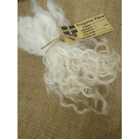natural undyed Valais Blacknose wool locks, 10g, curly wool