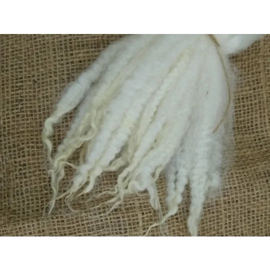 Blue Faced Leicester x Swaledale locks, natural undyed,, 10g