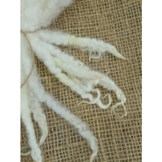 Blue Faced Leicester x Swaledale locks, natural undyed,, 10g