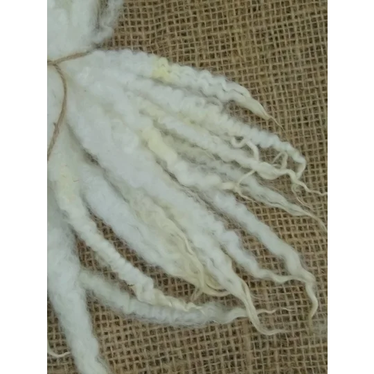 Blue Faced Leicester x Swaledale locks, natural undyed,, 10g