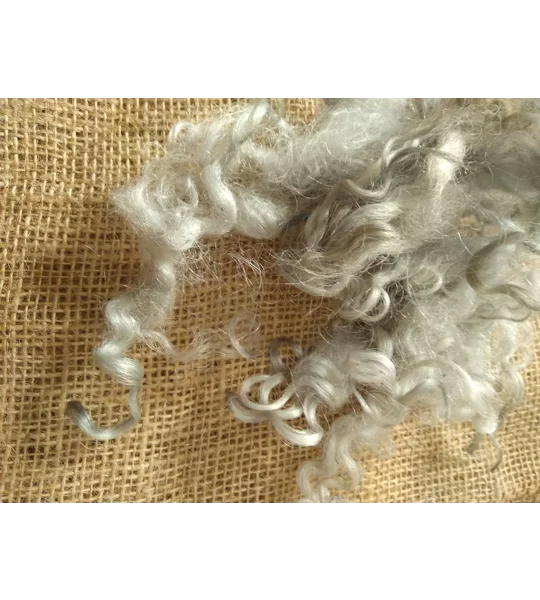 Light Silver grey loose curly wool and locks, 10g, curly wool