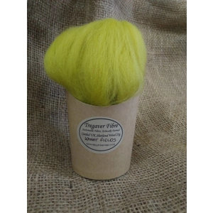 Combed UK Shetland Wool  top dyed in Wheat field yellow/green tones 25g