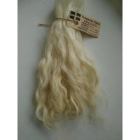 Light Blonde Grey Faced Dartmoor, rare breed sheep (v)