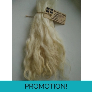 Light Blonde Grey Faced Dartmoor, rare breed sheep (v)