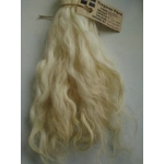 Light Blonde Grey Faced Dartmoor, rare breed sheep (v)